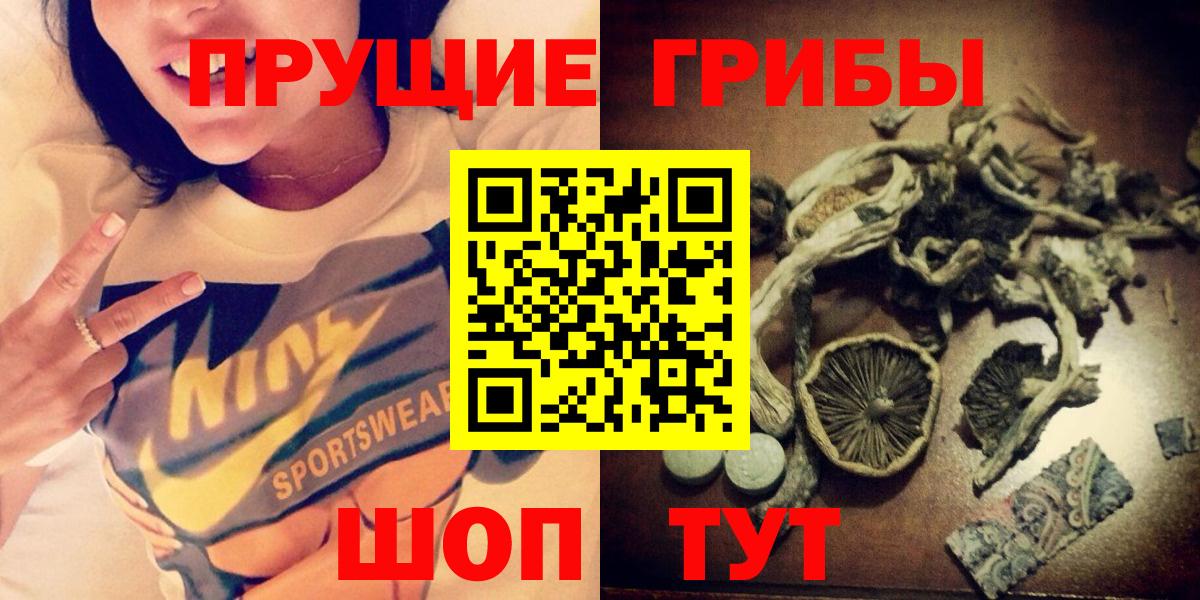 Псилоцибиновые грибы Psilocybe  Галлюциногенные грибы прущие грибы  Карпинск  Вход с VPN 
