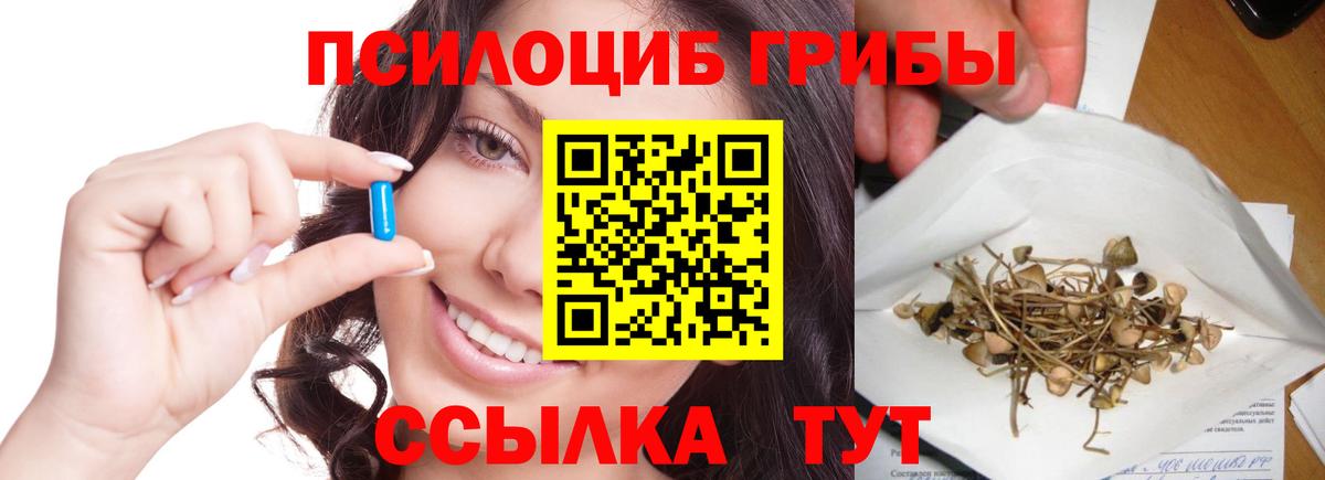 Псилоцибиновые грибы Cubensis Карпинск